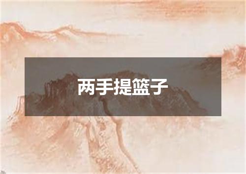 两手提篮子
