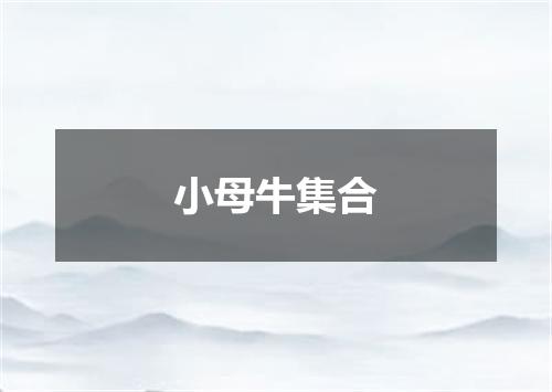 小母牛集合