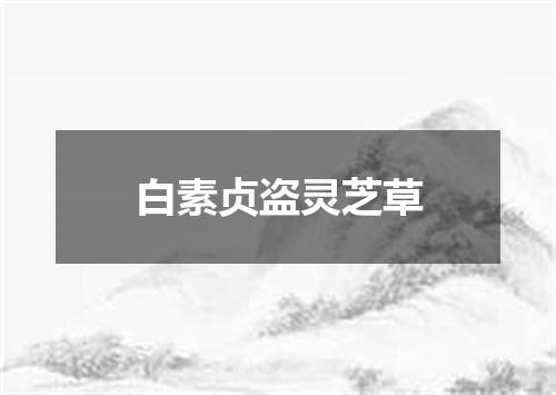 白素贞盗灵芝草
