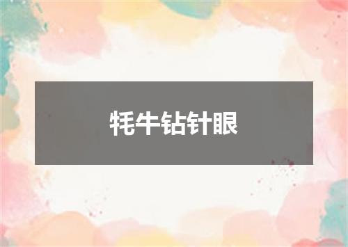 牦牛钻针眼