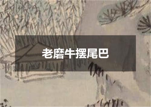 老磨牛摆尾巴