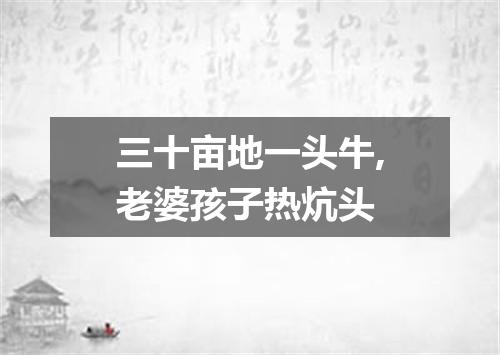 三十亩地一头牛,老婆孩子热炕头