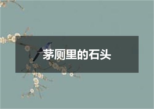 茅厕里的石头