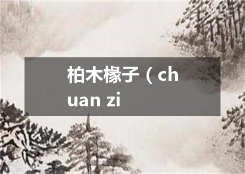 柏木椽子（chuan zi