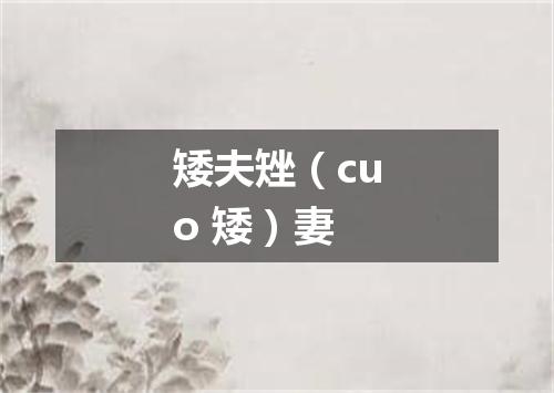 矮夫矬（cuo 矮）妻