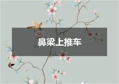 鼻梁上推车