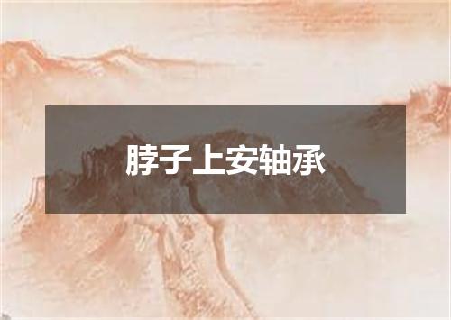 脖子上安轴承
