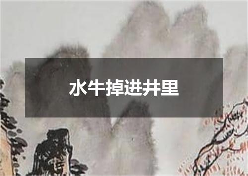 水牛掉进井里