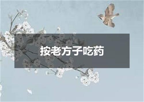 按老方子吃药