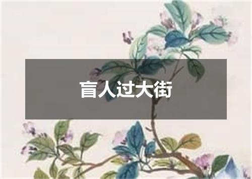 盲人过大街