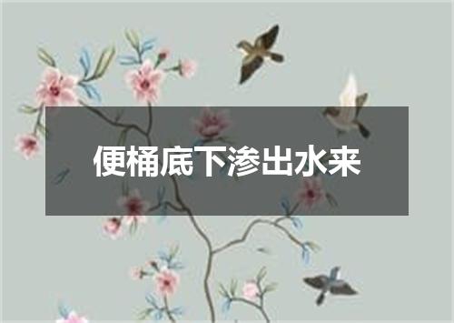 便桶底下渗出水来
