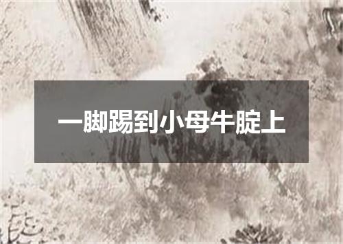一脚踢到小母牛腚上