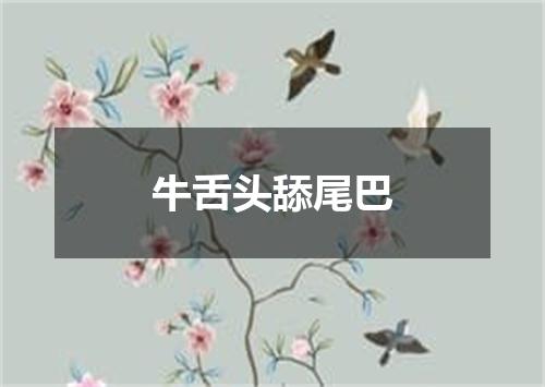 牛舌头舔尾巴