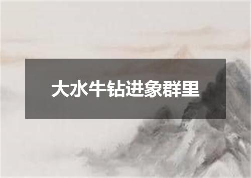 大水牛钻进象群里