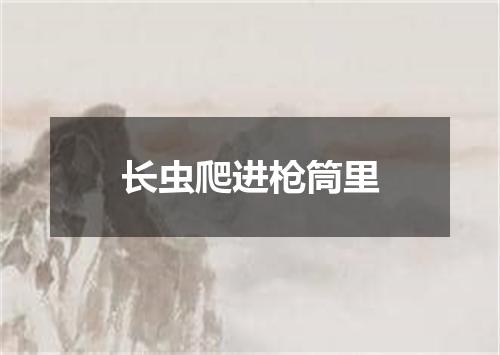 长虫爬进枪筒里