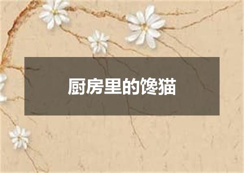厨房里的馋猫
