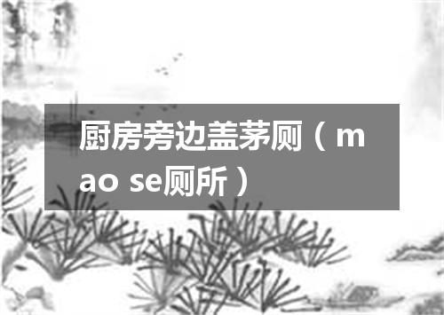 厨房旁边盖茅厕（mao se厕所）