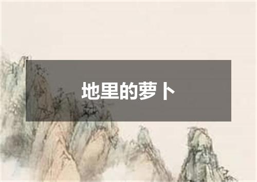 地里的萝卜