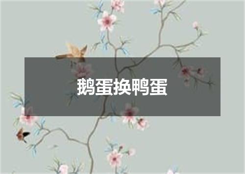 鹅蛋换鸭蛋