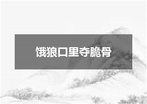 饿狼口里夺脆骨
