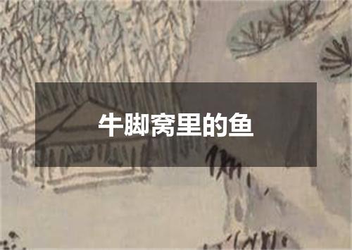 牛脚窝里的鱼