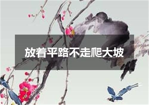 放着平路不走爬大坡