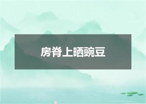 房脊上晒豌豆