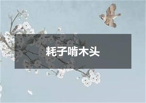 耗子啃木头