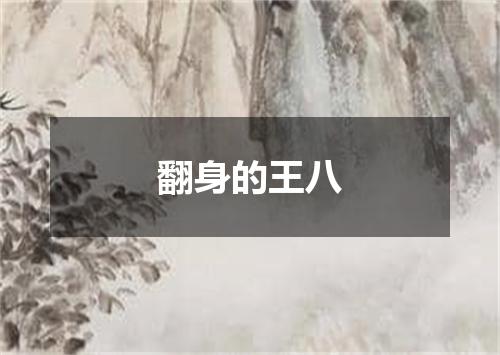 翻身的王八