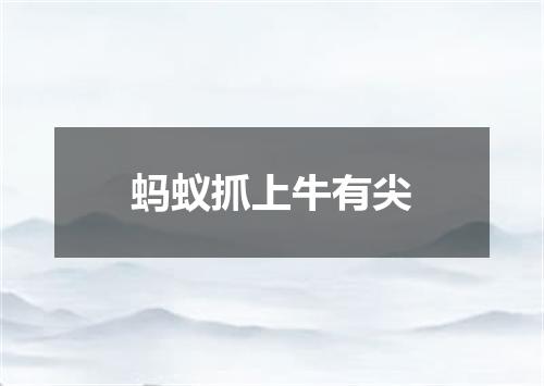 蚂蚁抓上牛有尖