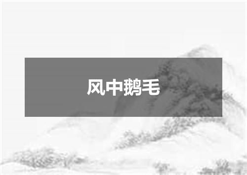 风中鹅毛