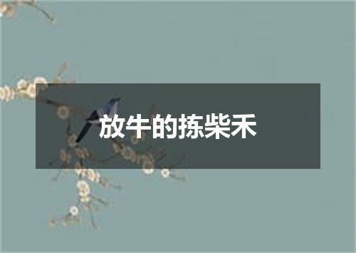 放牛的拣柴禾