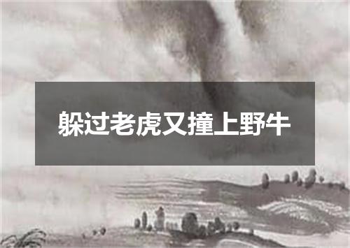 躲过老虎又撞上野牛