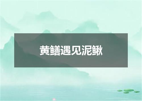 黄鳝遇见泥鳅