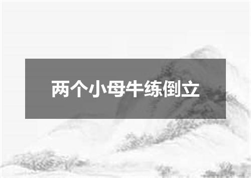 两个小母牛练倒立