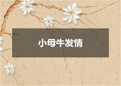 小母牛发情