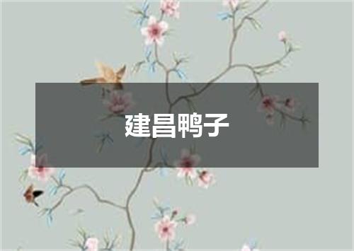 建昌鸭子