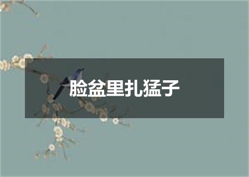 脸盆里扎猛子