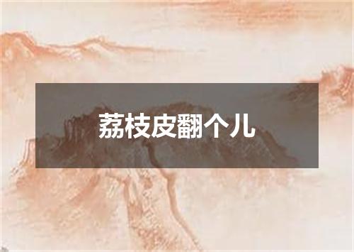 荔枝皮翻个儿