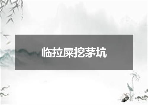 临拉屎挖茅坑