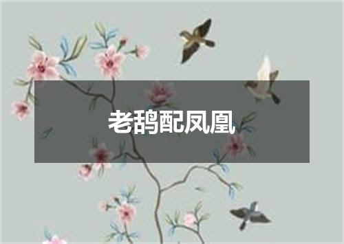 老鸹配凤凰