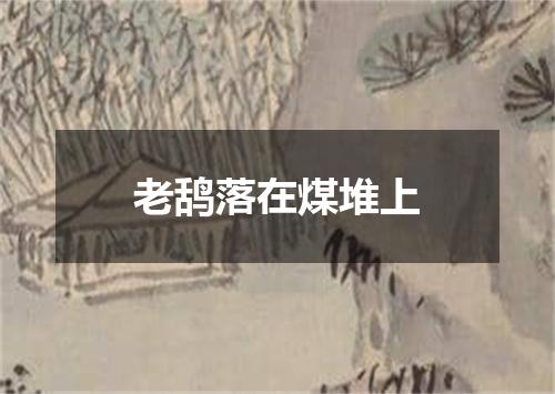 老鸹落在煤堆上