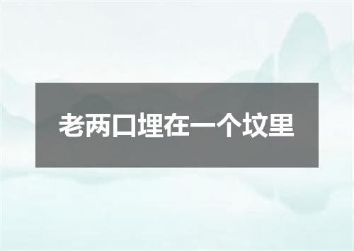 老两口埋在一个坟里