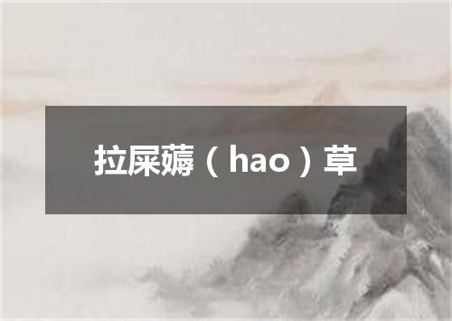 拉屎薅（hao）草