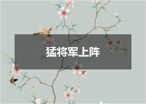 猛将军上阵