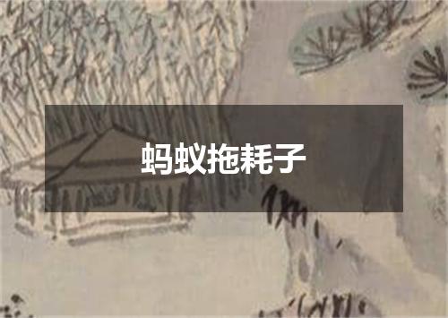 蚂蚁拖耗子