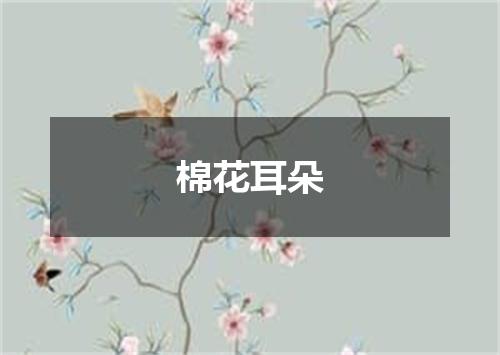 棉花耳朵