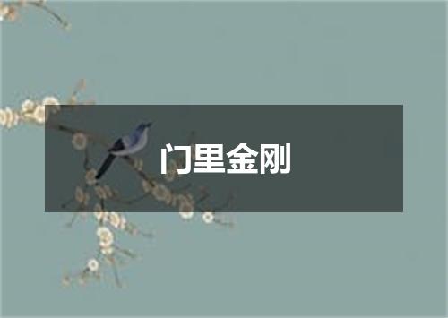 门里金刚