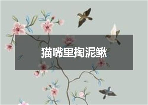 猫嘴里掏泥鳅
