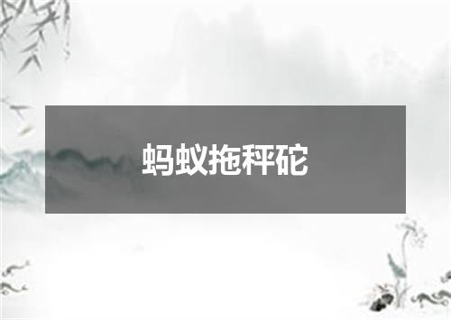 蚂蚁拖秤砣